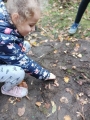 SADZIMY ŻONKILE NA ,,POLU NADZIEI